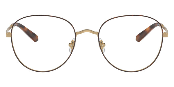 Gold/Dark Tortoise / 53-19-145