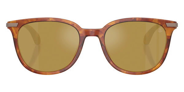 Shiny Brown Tortoise / Mirrored Olive / 53-19-145