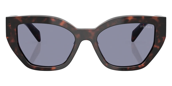 Root Tortoise / Gray / 55-16-145