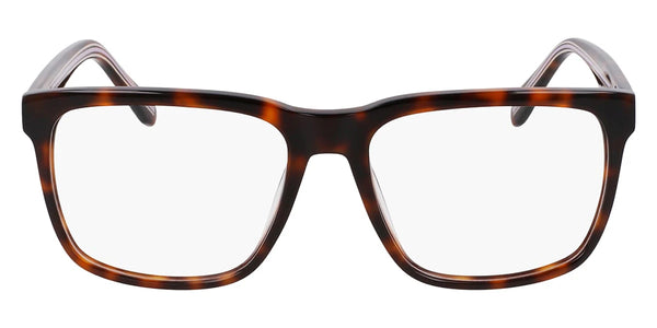 Tortoise / 56-17-145