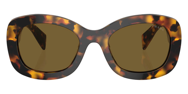 Honey Tortoise / Dark Brown / 54-23-145