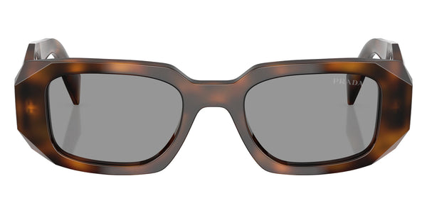 Juniper Tortoise / Gray / 49-20-145