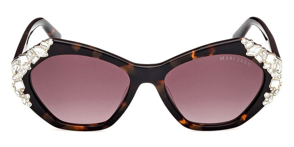 Dark Havana / Gradient Brown / 53-16-140