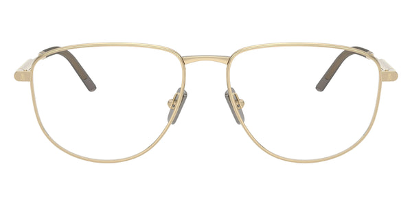 Shiny Pale Gold / 56-16-145