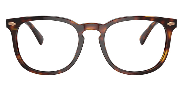 Shiny Brown Tortoise / Brown / 54-20-145