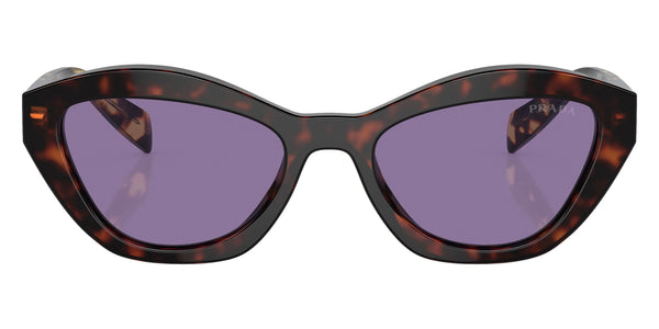 Havana / Violet Mirrored Internal Silver / 55-17-140