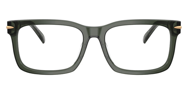 Green Transparent / 55-17-145