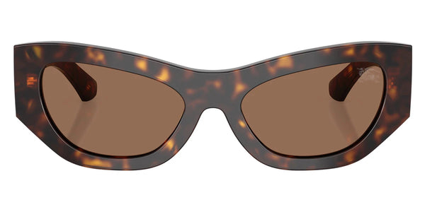 Dark Havana / Dark Brown / 54-19-140