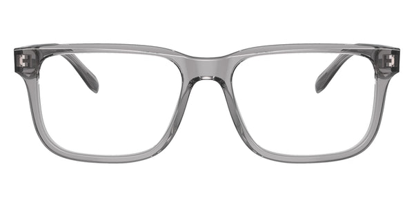 Shiny Transparent Gray / 55-17-145