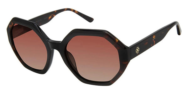 Black Tortoise / Brown Gradient Polarized / 52-18-135