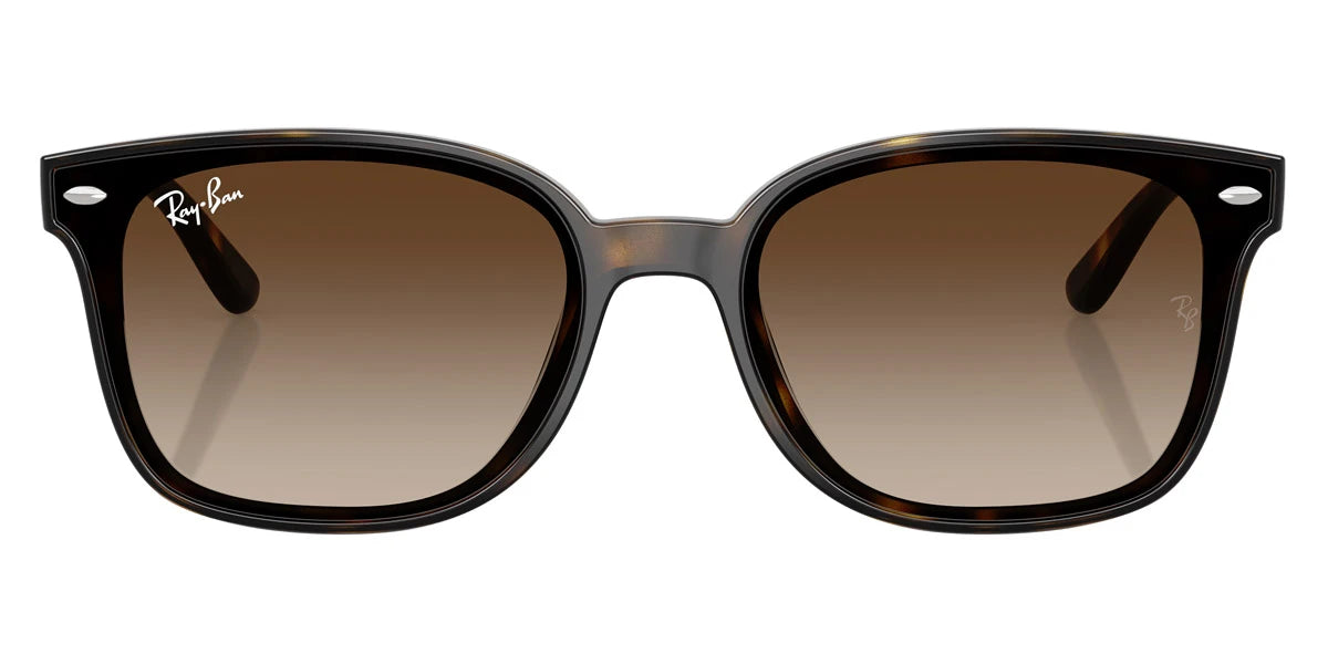 Ray-Ban - RB4461D