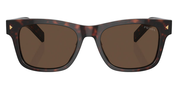 Radica Tortoise / Dark Brown / 55-18-150