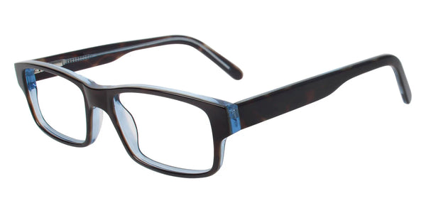 Tortoise Sky / 48-17-130