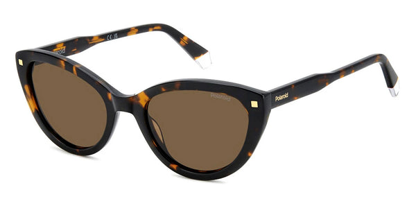 Havana / Bronze Polarized / 54-19-145