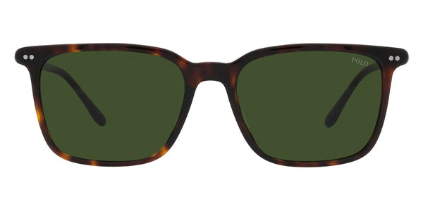 Shiny Dark Havana / Dark Green / 56-18-150