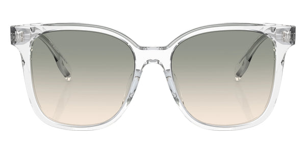 Clear / Light Brown Gradient Light Gray / 53-17-145