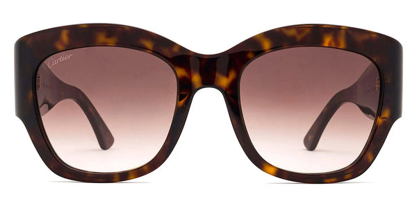 Havana / Brown Gradient / 52-21-135