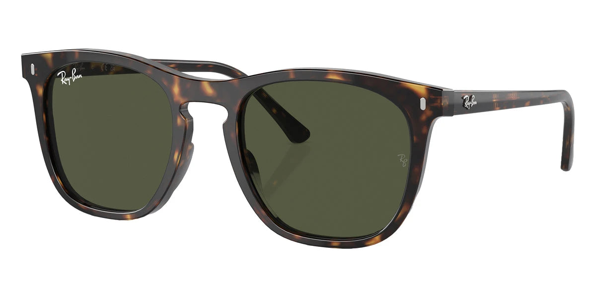 Ray-Ban - RB2210