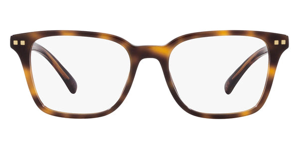 Warm Tortoise / 53-19-145