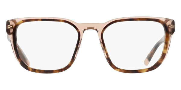 Brown Tortoise / 53-19-140