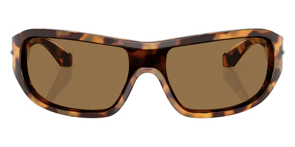 Havana Honey / Dark Brown / 137-0-125