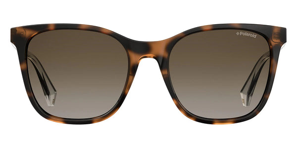 Havana / Brown Gradient Polarized / 53-19-145