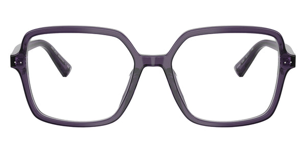 Transparent Prune / 55-17-140