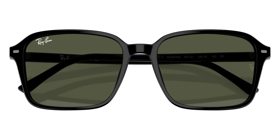 Ray-Ban - Raimond RB2231F