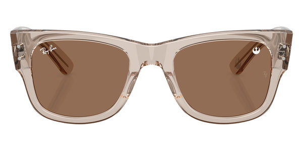 Transparent Light Brown / Light Violet / 51-21-145