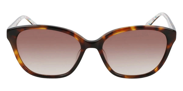 Tortoise / 55-18-140