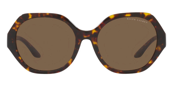 Shiny Dark Havana / Dark Brown / 55-18-145