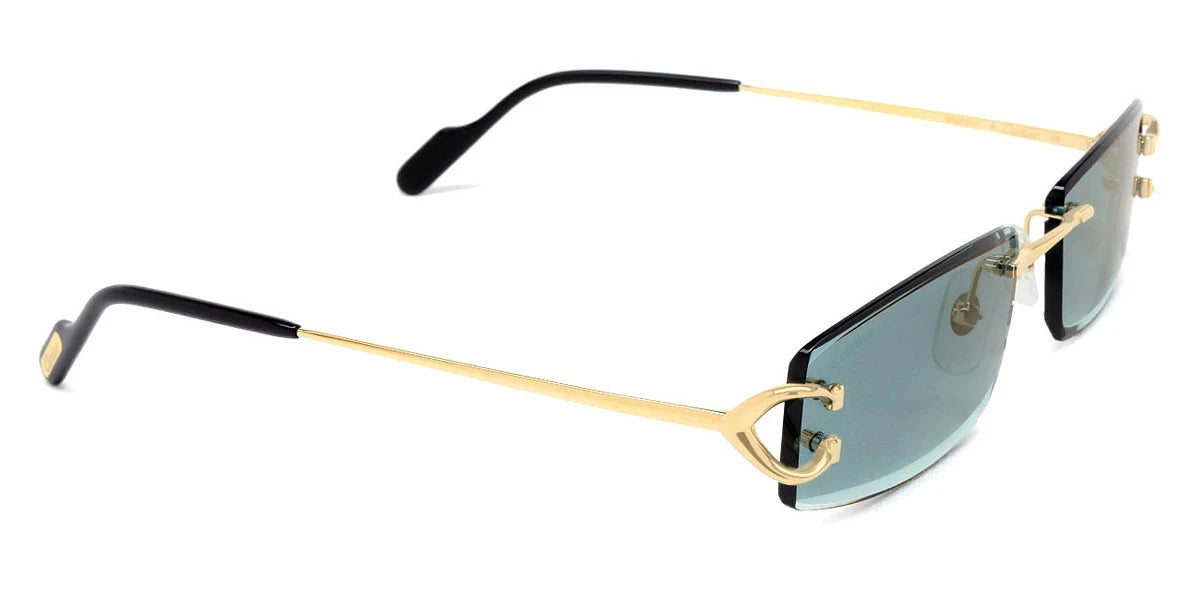 Cartier - CT0465S Signature C de Cartier