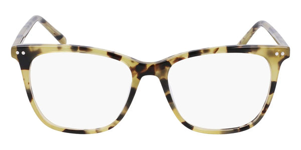 Tokyo Tortoise / 51-16-145