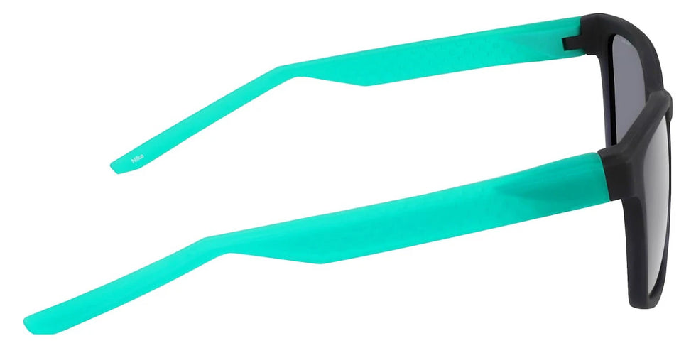 Nike - LIVEFREE ICONIC EV24012