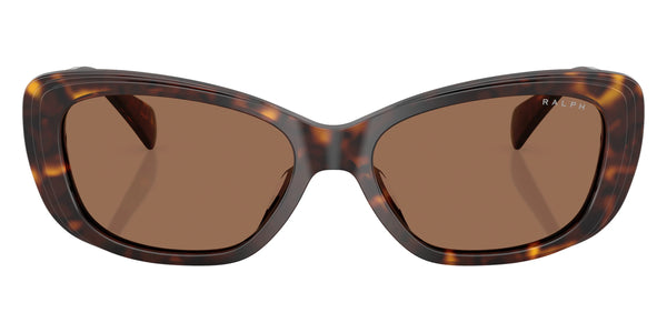 Shiny Dark Havana / Brown / 55-16-145