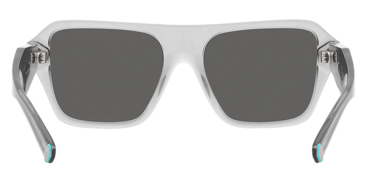 TIFFANY TF4204 8375S4 54 - Crystal Gray / Dark Gray