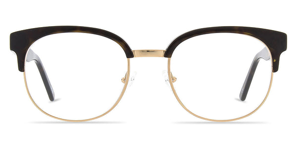 Brown/Gold B / 52-20-145