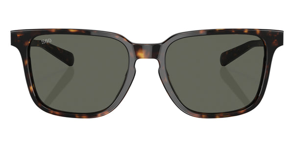 Tortoise / Gray Polarized / 53-17-140
