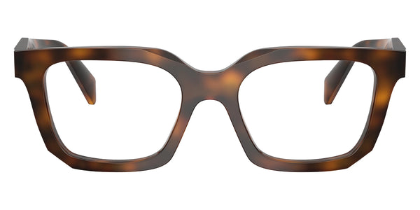 Juniper Tortoise / 52-19-145