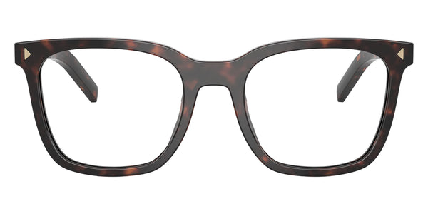 Root Tortoise / 50-20-145