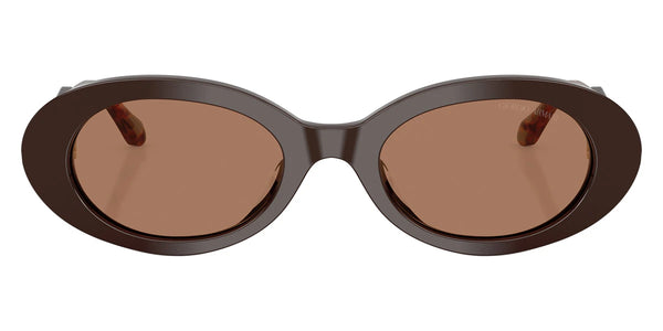 Brown/Gray Havana / Brown / 52-21-140