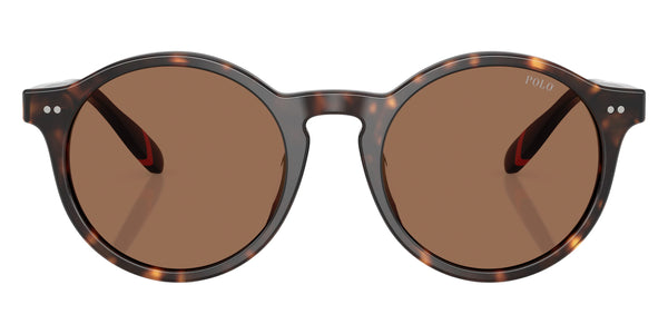 Shiny Dark Havana/Blue / Dark Brown / 50-21-145