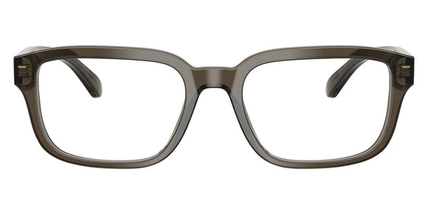 Shiny Transparent Gray / 55-19-145