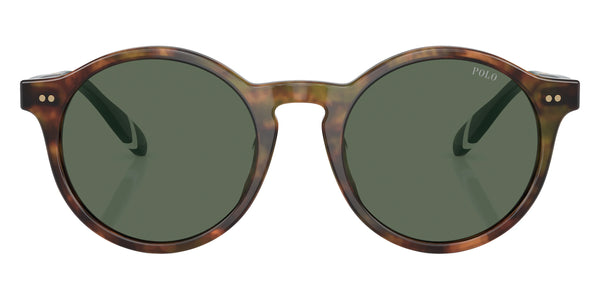 Shiny Brown Tortoise/Green / Bottle Green / 50-21-145