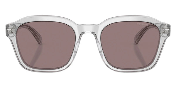 Shiny Transparent Crystal / Purple Brown / 54-21-145