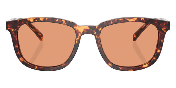 Magma Tortoise / Orange / 53-20-145