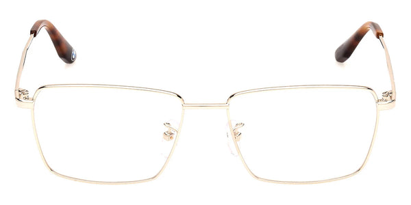 Shiny Pale Gold / 55-16-145