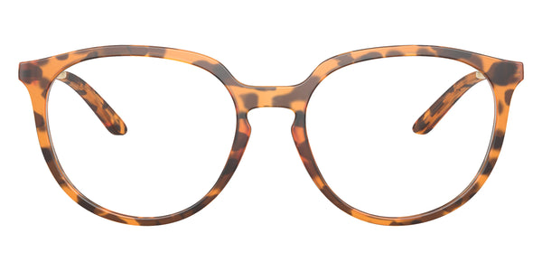 Matte Ginger Tortoise/Satin Light Gold / 53-17-141