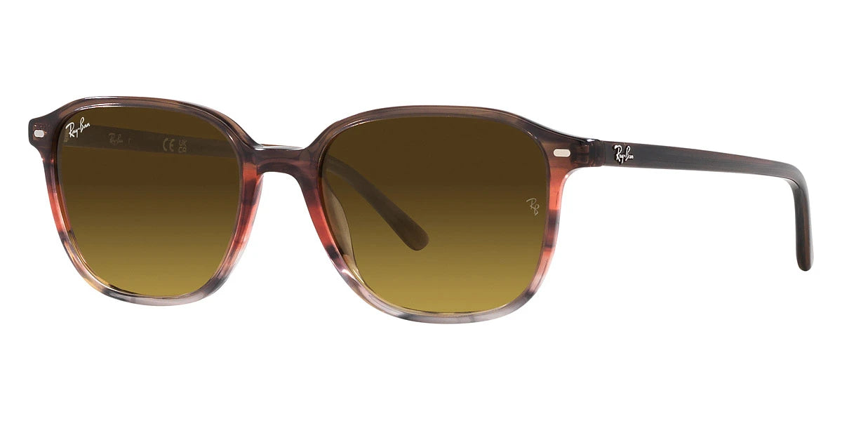 Ray-Ban - Leonard RB2193