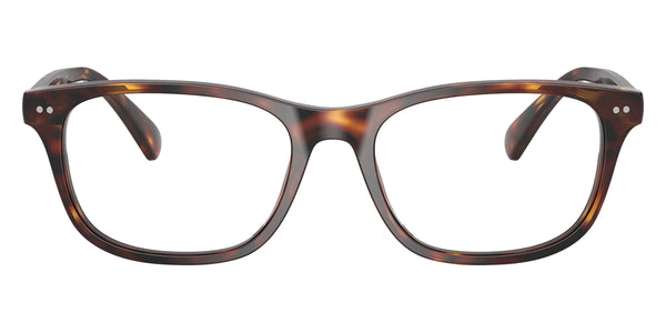 Shiny Brown Tortoise / 53-18-145